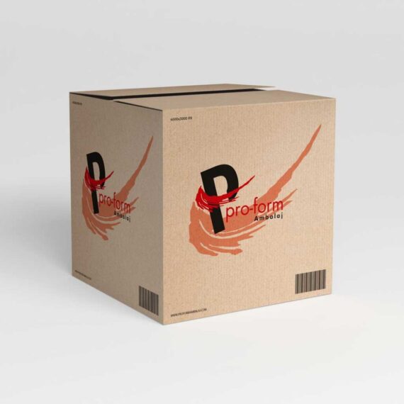 Endüstriyel Baskılı Koli